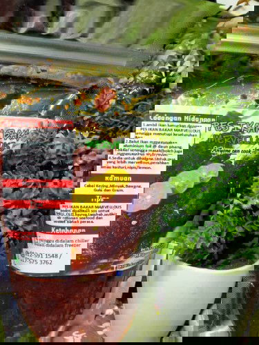 Makanan apakah yang baik untuk awal kehamilan ?dan makanan apakah yang tidak sesuai semasa hamil.