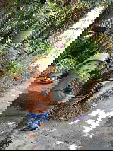 8เดือนค้าบ สวัสดีปีใหม่ครับทุกคน