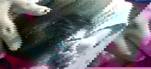 ลูกไครเปนบ้างค่ะ