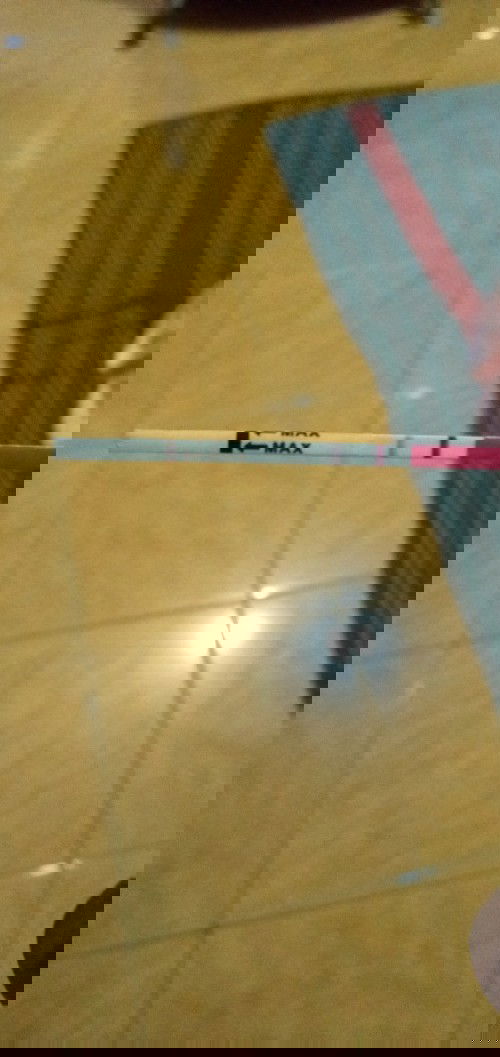 Apakah benar hamil ya bund?