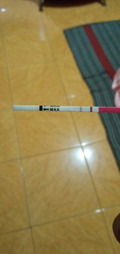 Apakah benar hamil ya bund?