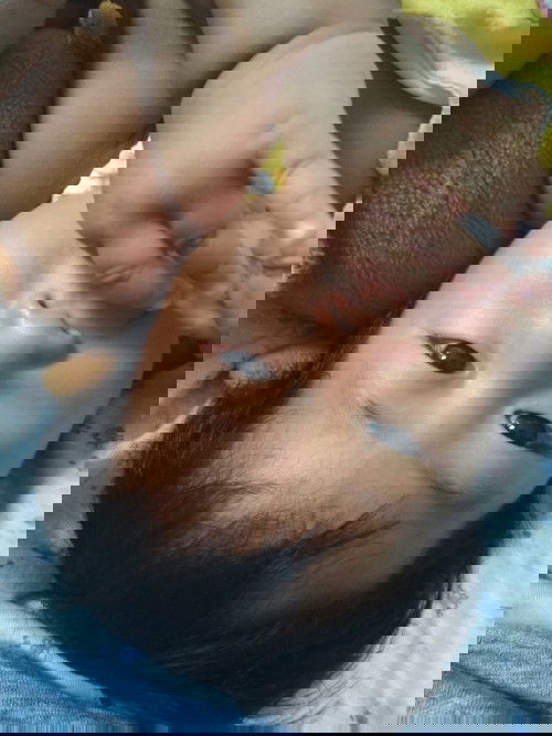 Minta sarannya bunda