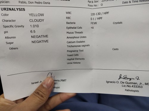 Urinalysis