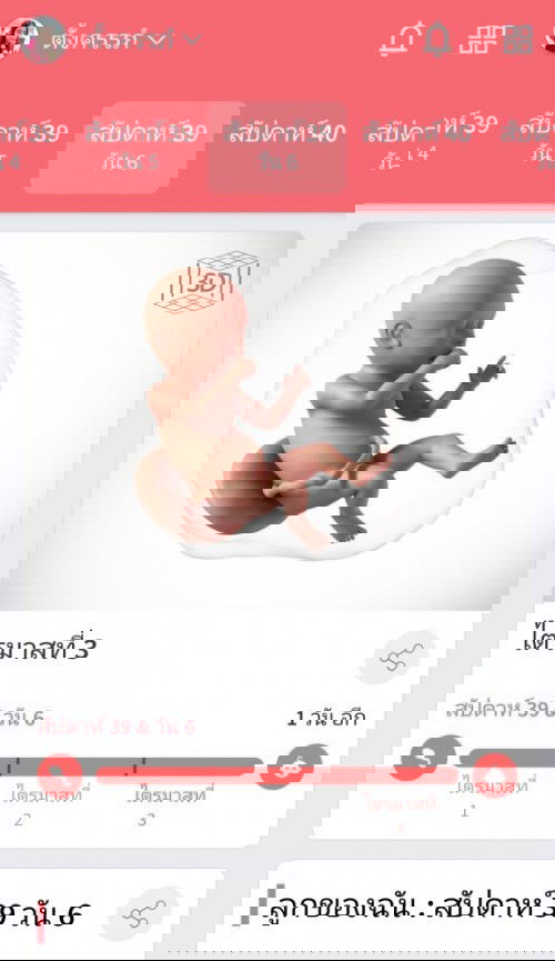 หนูจะสร้างตึกอยู่ในท้องไม่ได้นะลูก