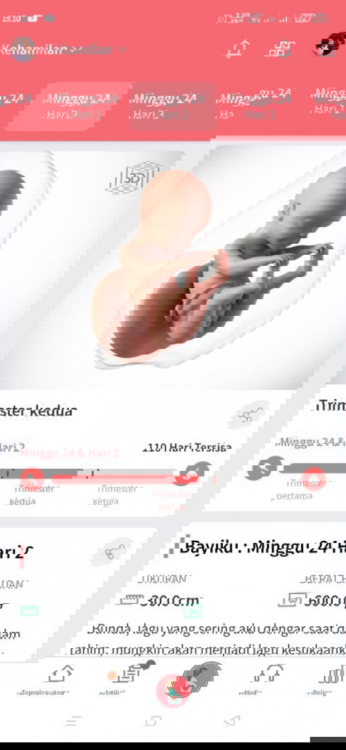 Keluhan Usia Kandungan 24w2d