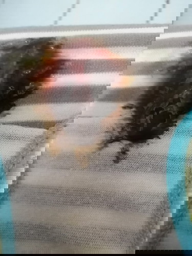 Mucus plug na ba ito??