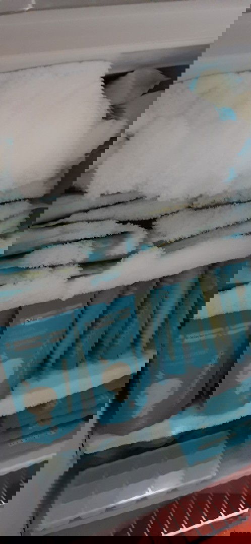 Donor asi bayi perempuan