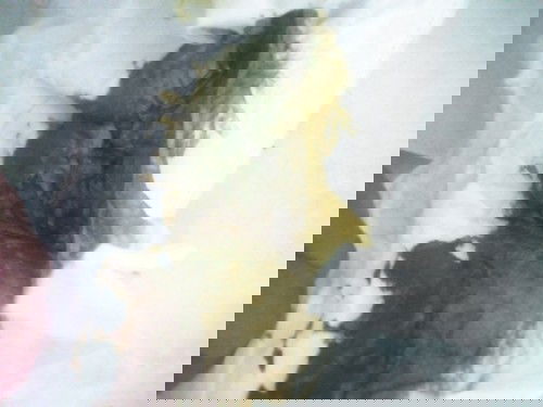 Phân của bé 3thang