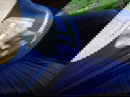 Seputaran kehamilan pertama