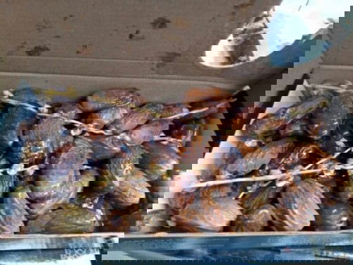 ikhtiar lahiran normal