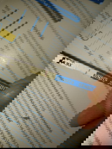 apakah ini termasuk positif atau tdk?