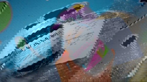 Blackmores Pregnancy