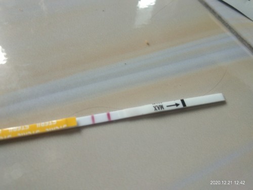 Harapan di tahun 2021