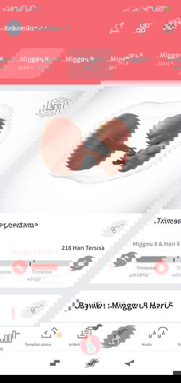 Kenapa ya bun usia kandunganku udah mau masuk 9 minggu tapi kata bidan belum keraba