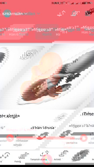 Menunggu Gelombang Cinta