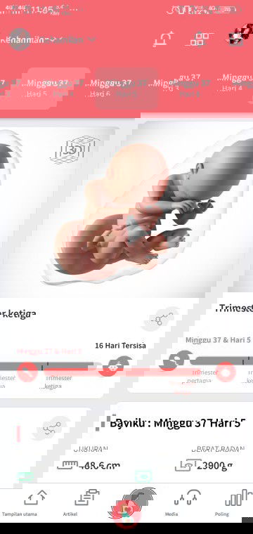 Detik-Detik Melahirkan