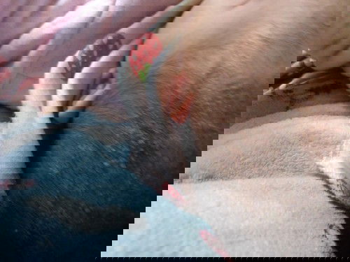 Có bé nhà mom nào bị như này kh ạ và chữa gì khỏi ạ