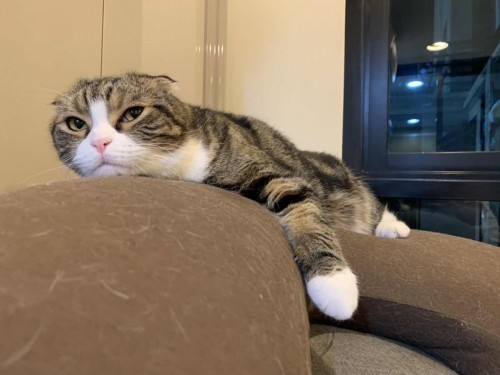 มีเวลา 1 ปีในการเป็นคุณพ่อ ขอคําแนะนําเรื่องการเตรียมตัวเป็นคุณพ่อครับ