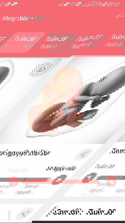 Mom nào 38 tuần các mom nhà mình ơi vào nc nhé ❤