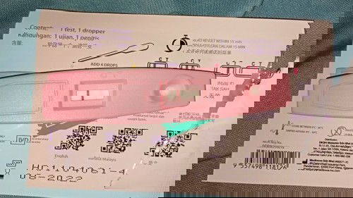 Mengandung anak kedua