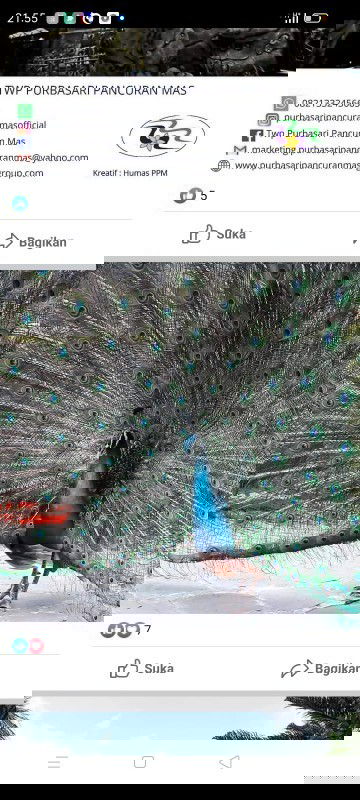 perut suka mual" & muntah* di awal kehamilan kira" napa yah bund