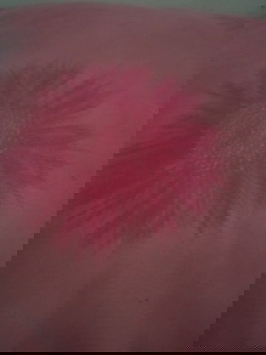 Controlling Feelings