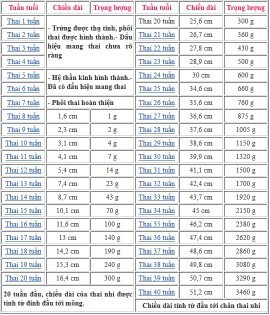 Em được 28w6 bé nặng 1440g.e lm tiểu đường thai kỳ thì chỉ số đều bình thường.có s kh ạ