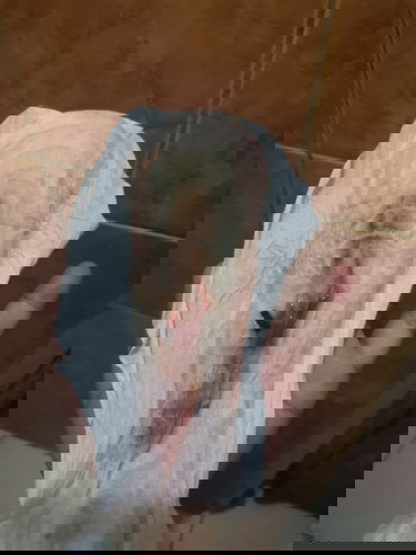 1ST TIME MOM, BABY BOY, ADVISE PLEASE