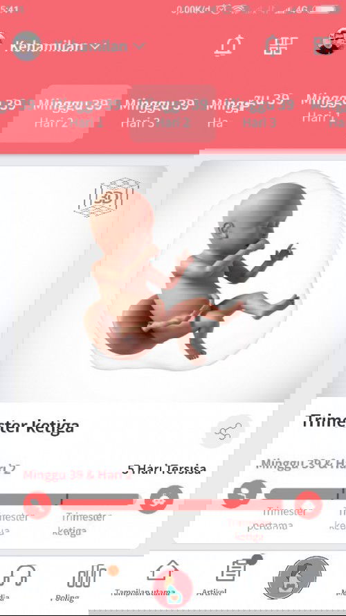 Mendekati hpl tapi baby masih anteng2 aja