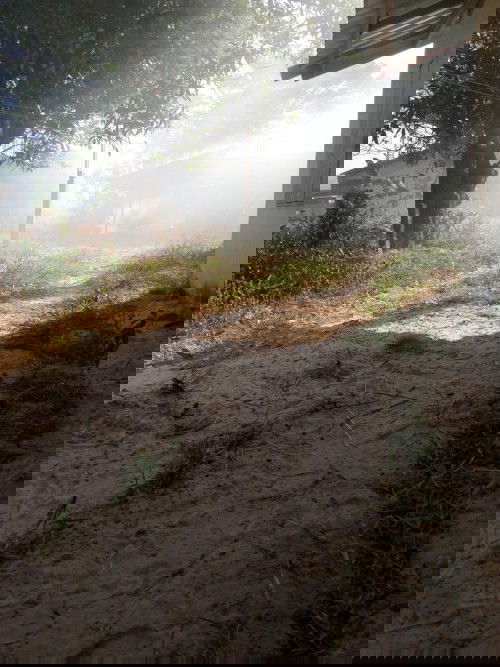 ปรึกษาคะ