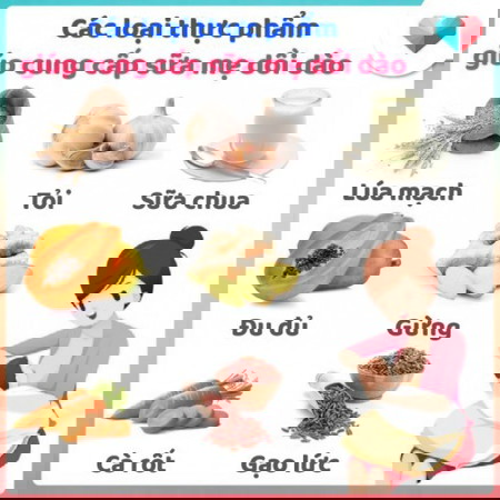 Các loại thực phẩm cung cấp sữa mẹ