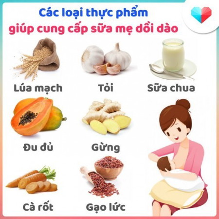 Các loại thực phẩm cung cấp sữa mẹ