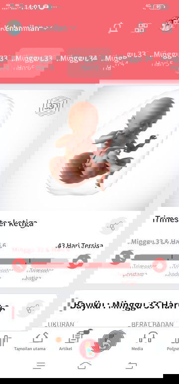 33 week pregnant ❤️