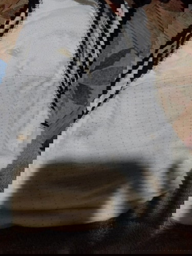 38+1 Week เป็นมูกเเบบนี้ต้องไป รพ.ด่วนไหมค่ะ ???