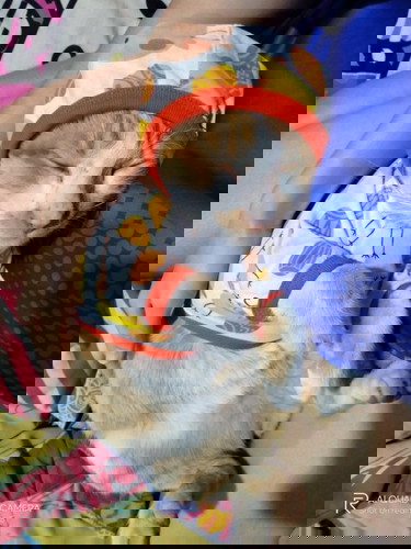 บ้านไหนเป็นแบบนี้มั้งค่ะ?