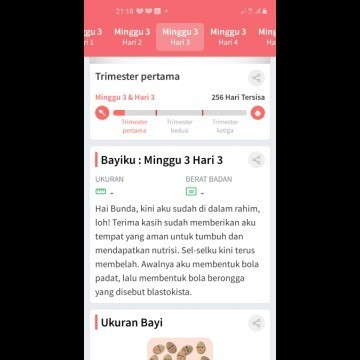Maaf ya bun saya mau nanya klk hasilnya 3 minggu 3 hari itu hasilnya bner bner hamil apa gmna ya bun