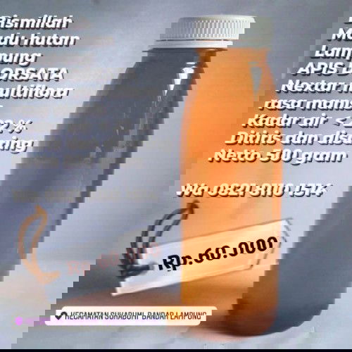 Madu Asli Hutan Lampung dan Sumsel