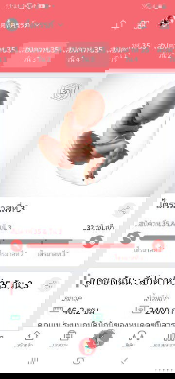 ทีมกุมภาพันธ์