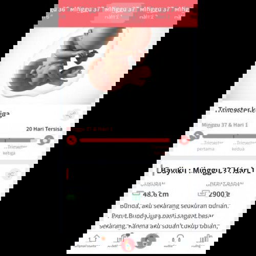 Menunggu gelombang cinta