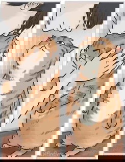 Kerap Menangis, Rindu kucing