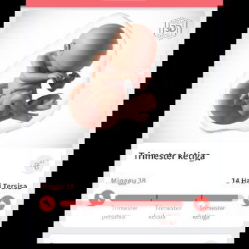 Menunggu gelombang cinta