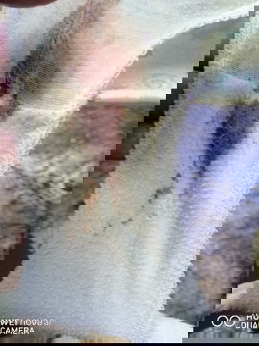 Brown discharge sign of labor na kaya ito? Im 37 weeks and 1day..please respect my post..