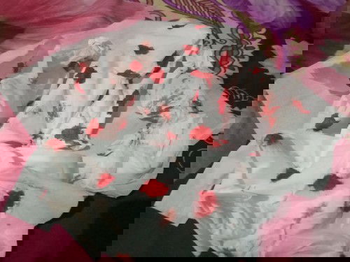 Tiba tiba Mimisan lagi