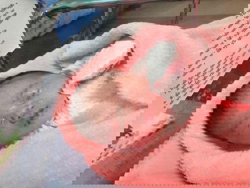 ทีมมกราจ้า ❤️