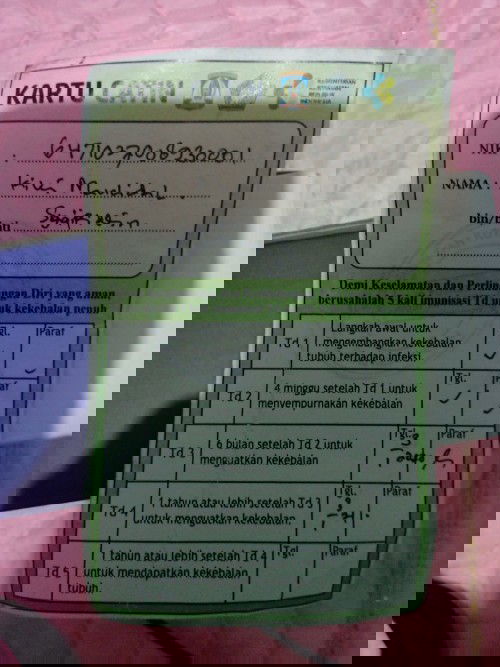 Apa bole ibu hamil vaksin