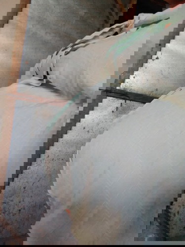 ทีมกุมภาพันธ์