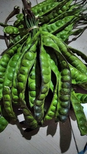 Apakah ibu hamil bisa makan pete sama jengkol?