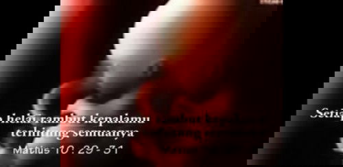 Boleh ga makan bakso tiap hari