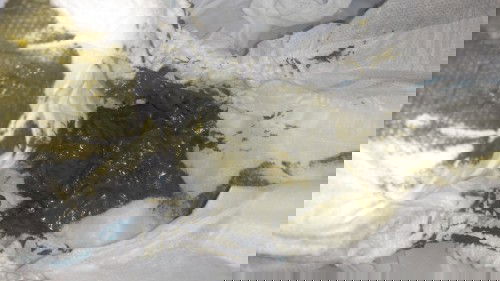 Full sufor pup bayi hijau