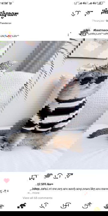 Lupa padahal lagi hamil.